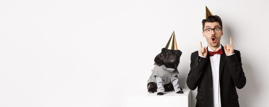 Cute black pug dog wearing party cone and standing near happy owner, man pointing fingers up at copy space, celebrating birthday, white background.