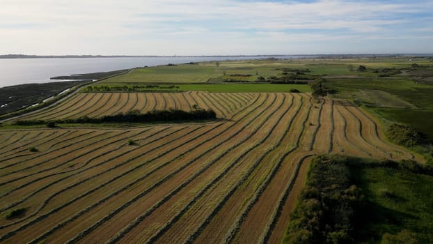 Aerial view of the cultivated fields of the estuary in Murtosa, Aveiro - Portugal.