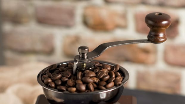 Coffee grains of coffe grinder, close-up.