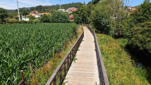 Point of view shot of riding a bicycle in Ecovia do Arda at Arouca, Portugal. Features a wide view of the bike track and the natural scenery.