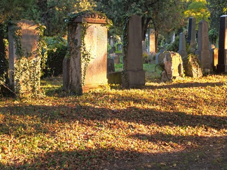 Jewish cemetery,at the Vienna Central Cemetery in autumn