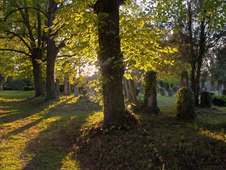 Jewish cemetery,at the Vienna Central Cemetery in autumn