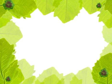 Background with clover