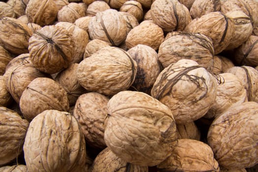 Walnut