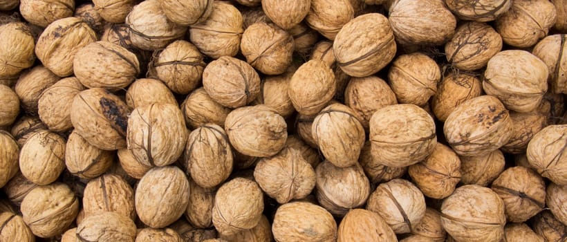 Walnut