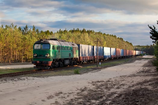 Freight train hauled by the diesel locomotive passing the forest