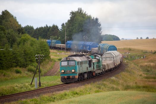 Freight train hauled by the diesel locomotive passing the forest