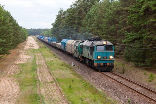 Freight train hauled by the diesel locomotive passing the forest
