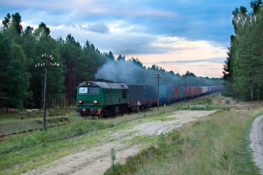 Freight train hauled by the diesel locomotive passing the forest