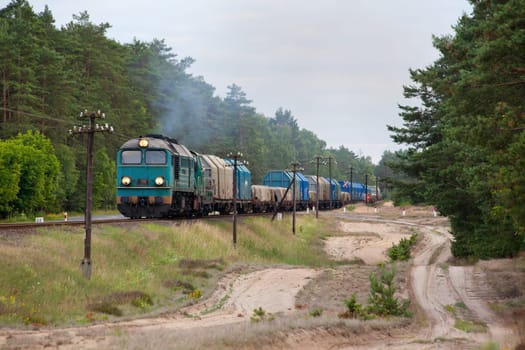 Freight train hauled by the diesel locomotive passing the forest