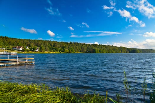 Summer landscape at the lake and forest