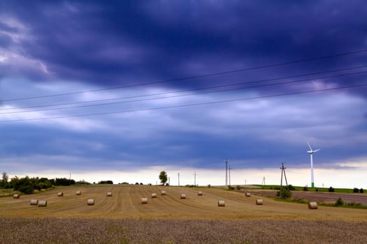 Summer landscape with rye field, wind turbines and electric poles