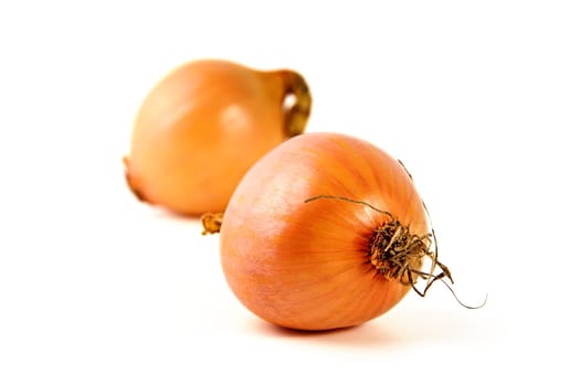 Onions in front of white background isolated
