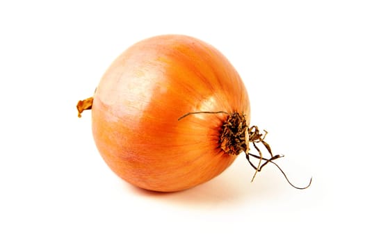 Single onion isolated against white background