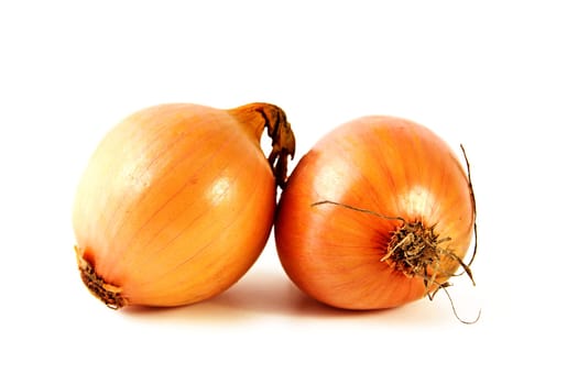 Onions in front of white background isolated
