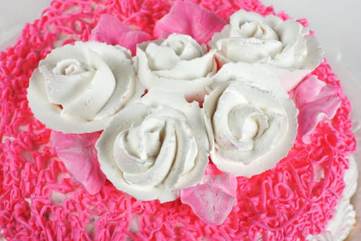 cream cake isolated on a white background