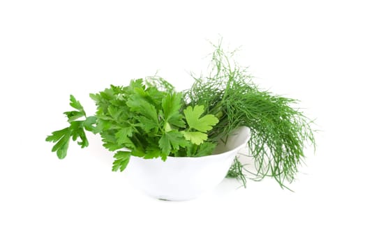 dill and parsley at plate isolated on a white background