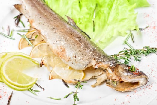 trout fish baked with greens close up