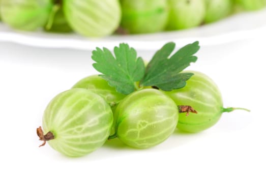 green ripe gooseberries isolated on a white background