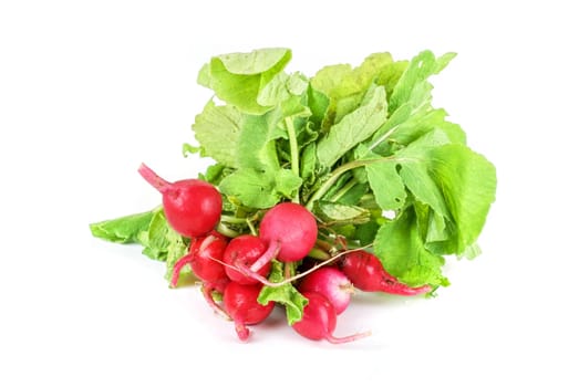 Fresh radishes isolated on white background