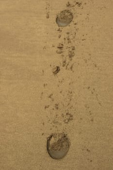 hoofprints on a sandy ballybunion beach on irelands west coast