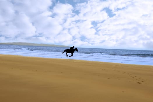 silhouette of a horse and rider galloping on ballybunion beach at sunset in kerry ireland