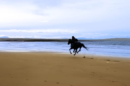 silhouette of a horse and rider galloping on ballybunion beach at sunset in kerry ireland