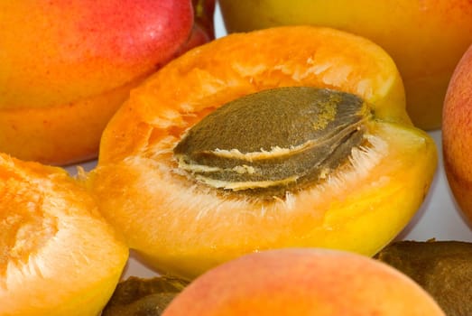 Apricot nucleus are photographed close-up