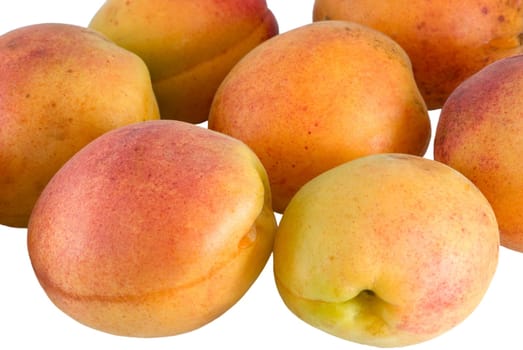 Seven apricot are photographed close-up