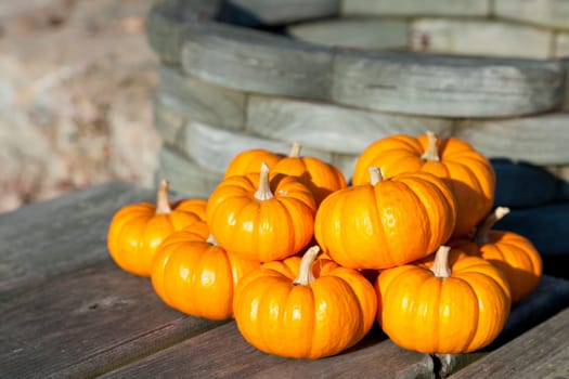 Colorful miniature decorative pumpkins against rustic background