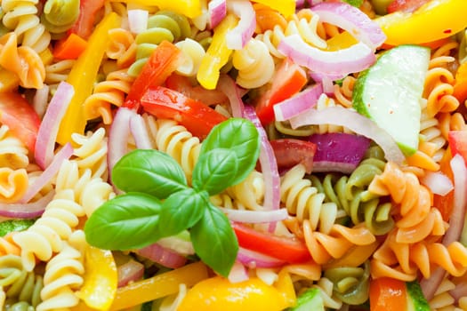 Macro image of multi-colored pasta salad with vegetables