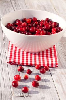 Cranberries in a bowl