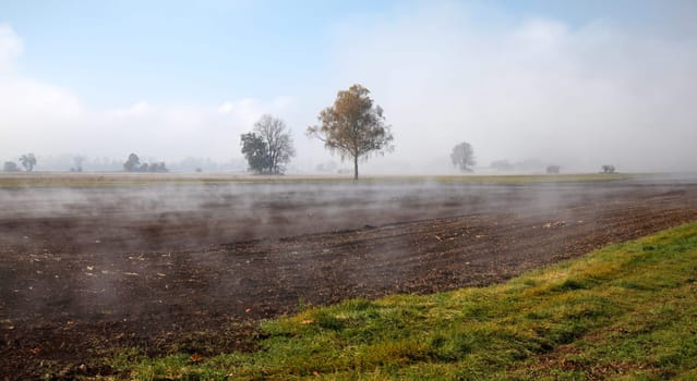 Mist