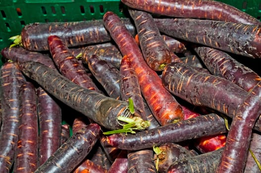Carrots at the weekly market