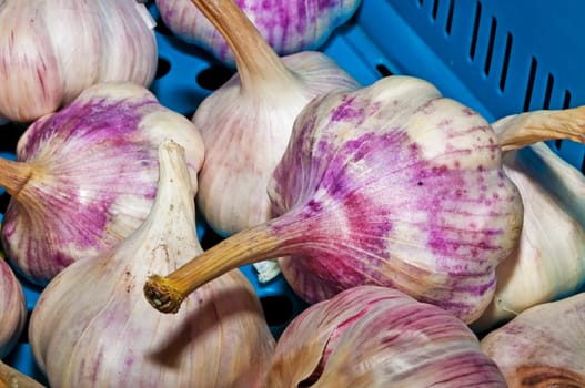red garlic