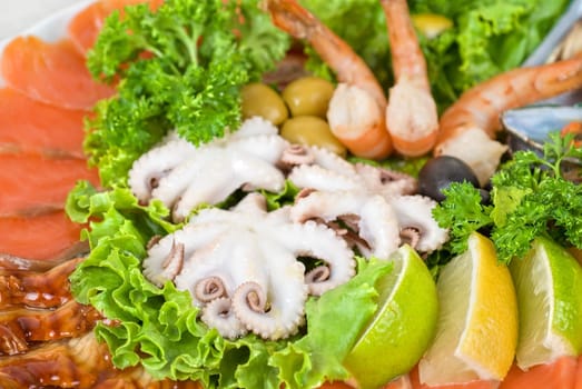 appetizer closeup of different seafood and vegetables