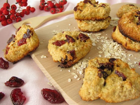 Cranberry Oatcurl Cookies