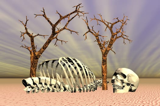 Skeleton in the desert