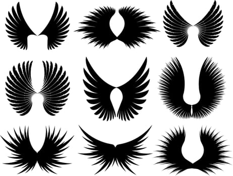 Various different designs of wing silhoeuttes