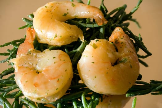 Prawns