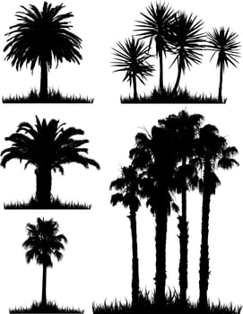 A collection of silhouettes of tropical trees