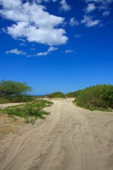 Street on the beach
