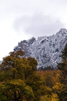 Autumnal mood with snow