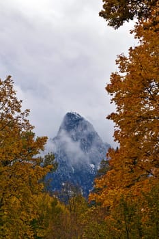 Autumnal mood with snow