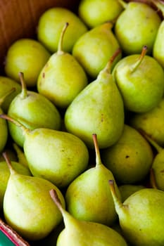Close-up of fresh ripe delicious green pears
