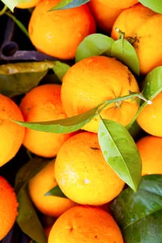 Close-up of a pile of fresh juicy oranges