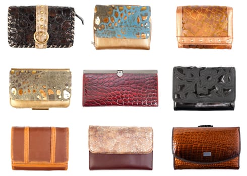 9 leather female and male purses. Front view. Isolated on white background