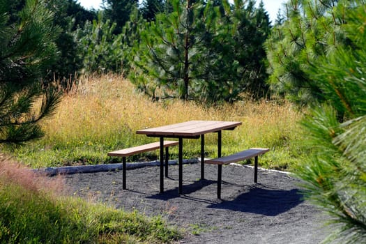 Picnic table with benches in a private area off the main walking trail surrounded by evergreen trees during the daytime.