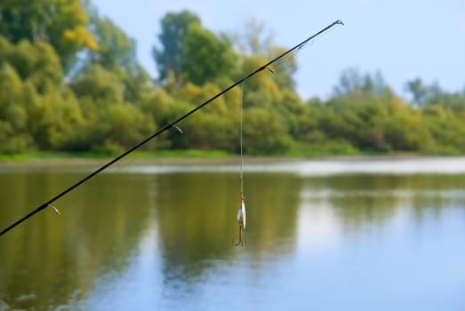 fishing rod at lake. summer sunny day