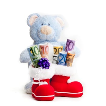 Teddy Bear and Euro Money